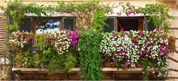 jardin en balcon